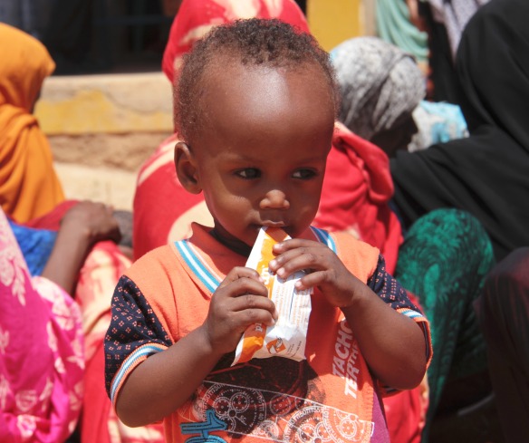 The Somali region of southern Ethiopia is a difficult place to live. It is an arid landscape, vast and reddish, with few water sources or trees, marked by twisted white bushes that stand out against the earth. The region has not experienced a normal rainy season in nearly three years. This sustained drought has killed pasture and livestock, and left vulnerable families facing acute food shortages.