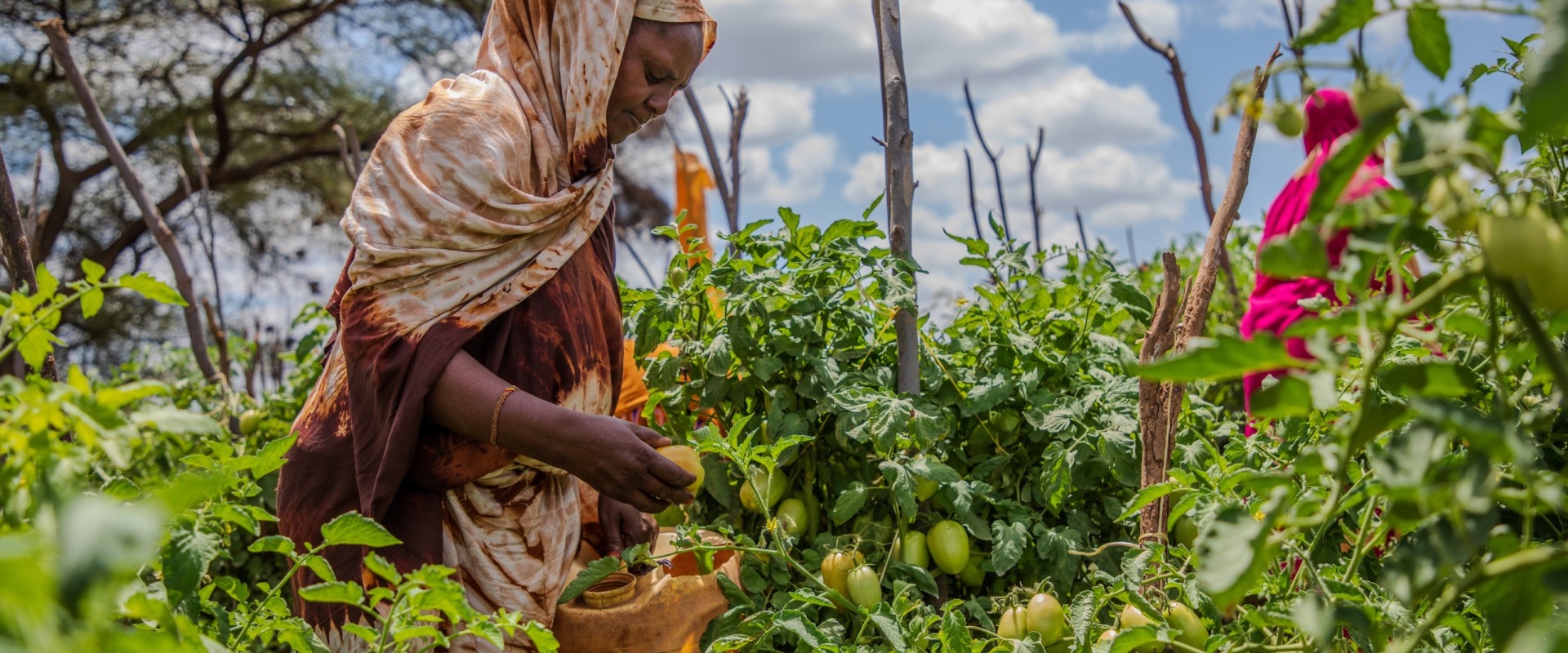 A woman farming from Hubsa Farm in Isiolo County, Kenya