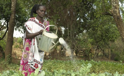 Rosina Chenangat, 38, is the leader of the kitchen garden which is an initiative of the Mother-to-Mother support group in Kapkitony Village in West Pokot, Kenya.