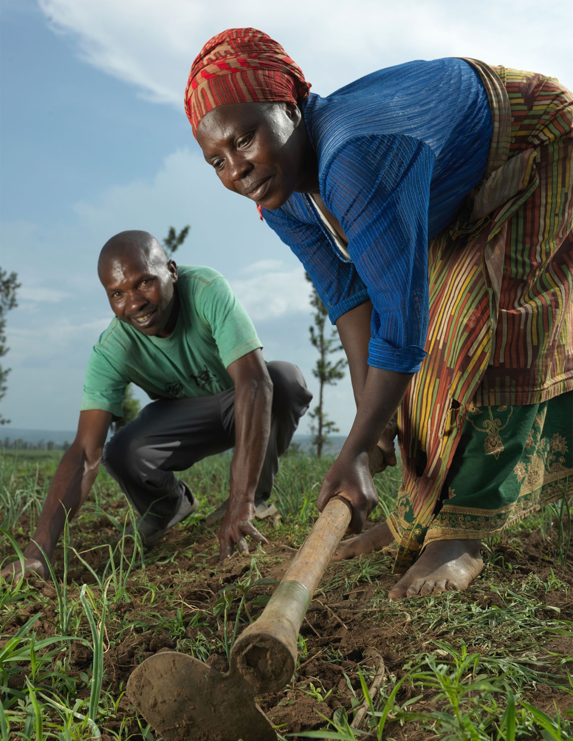 Justine,43, and her husband de-weed their onions at Rwoma B block farm in Mbararra. Shikiranya is part of Action Against Hunger