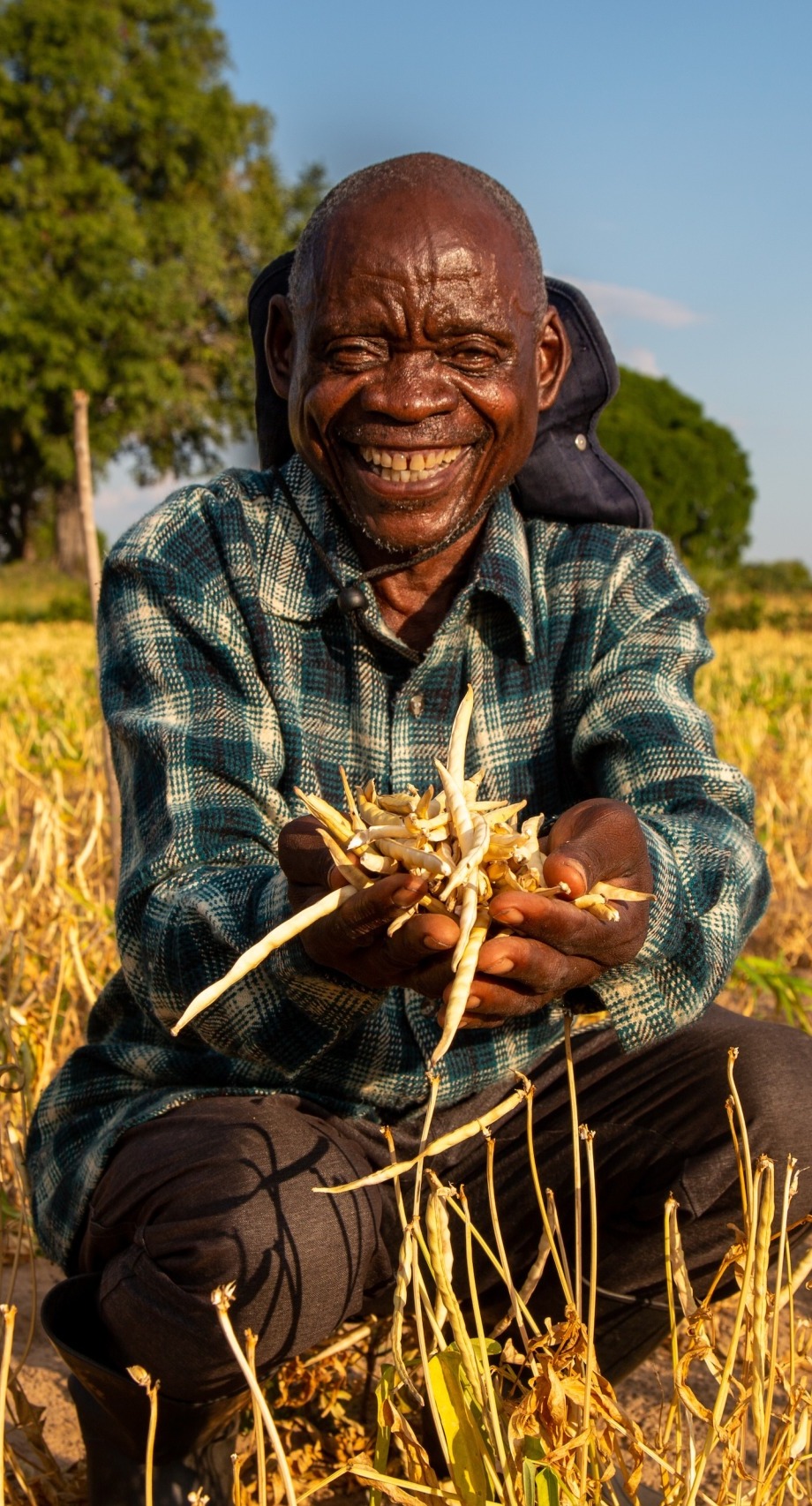 Farmer Sitwala Mangolwa (66) holds a handful of cowpeas whilst smiling at the camera on his farm in Siwela Village, Ngundi Camp