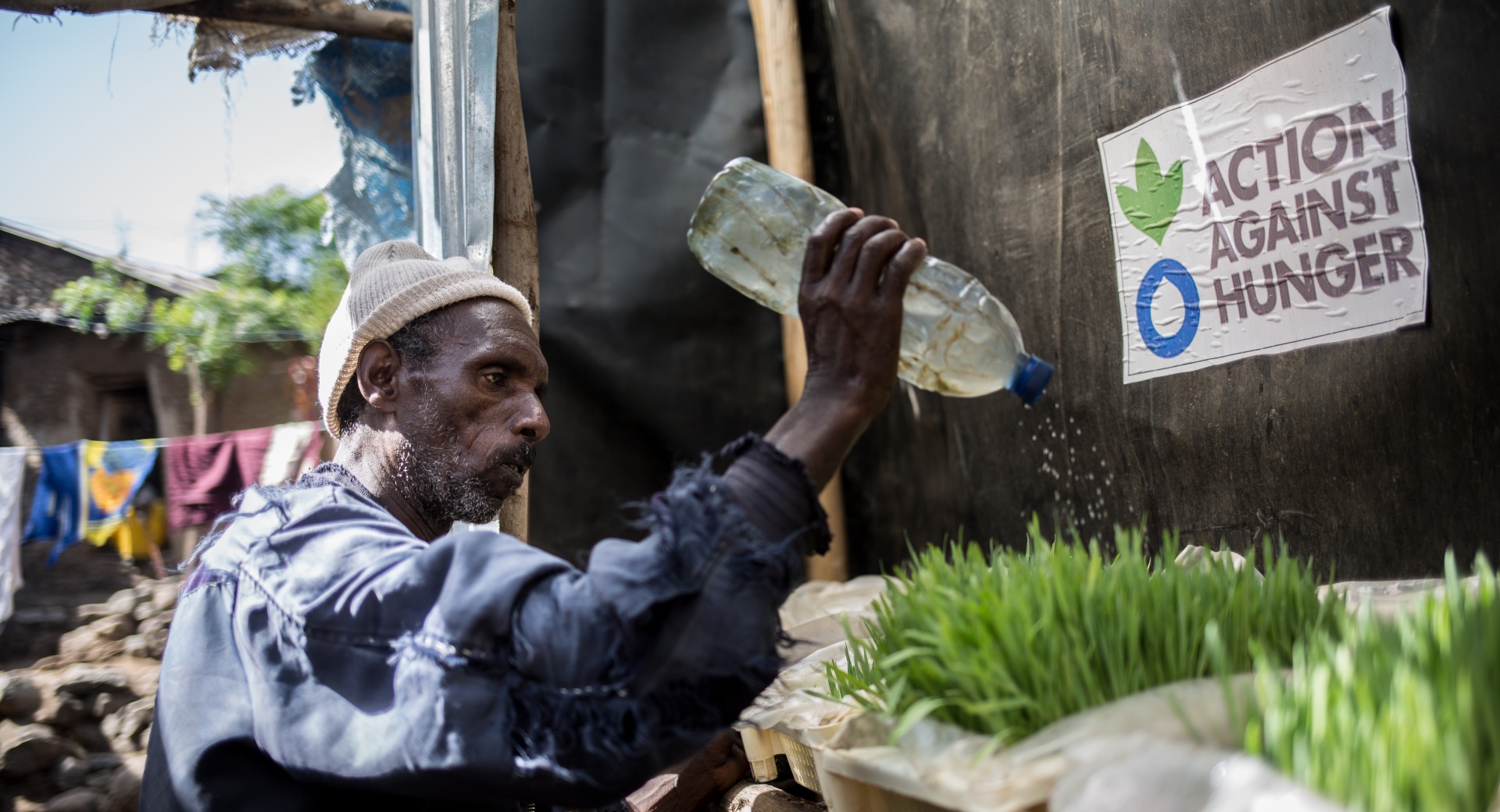 In Ethiopia, a man uses hydroponics to grow fodder for his livestock.