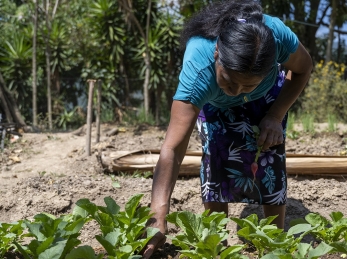 Alicia in garden in Guatemala who leads an irrigation project.