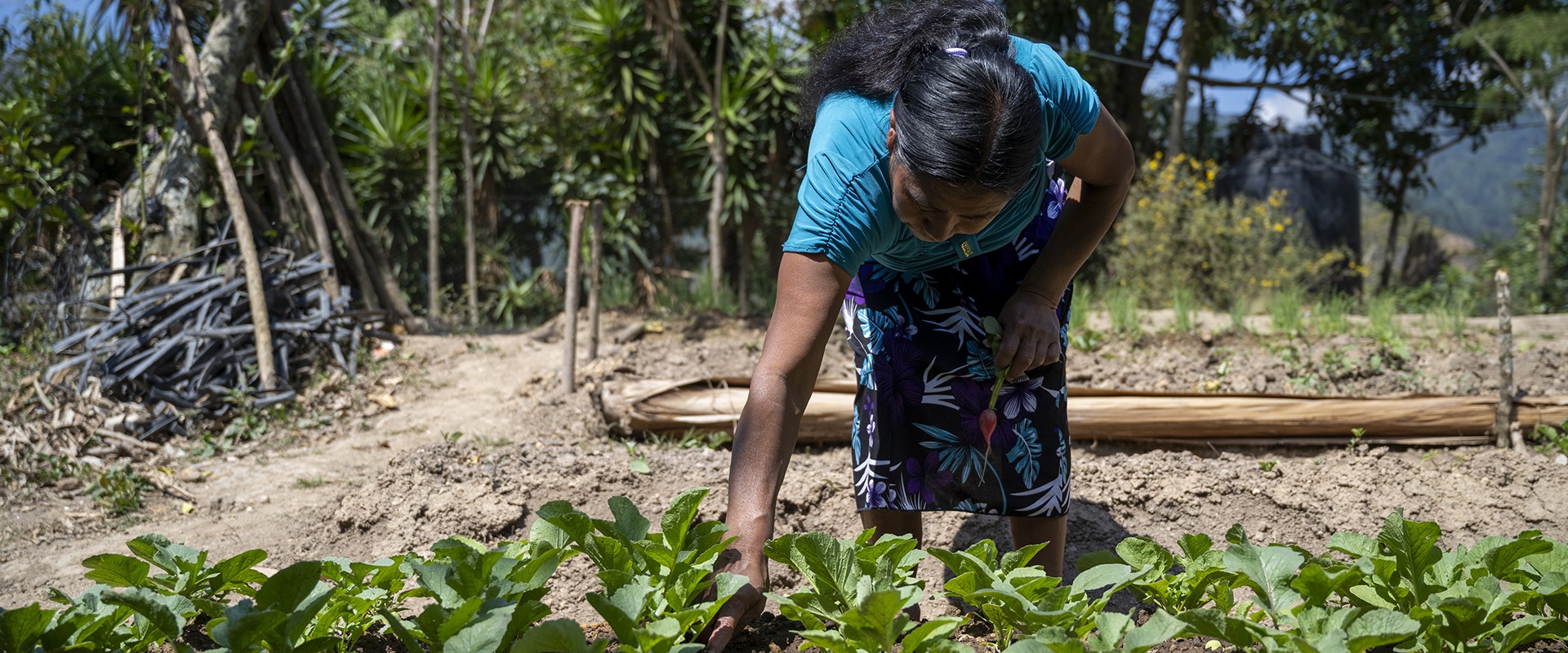 Alicia in garden in Guatemala who leads an irrigation project.
