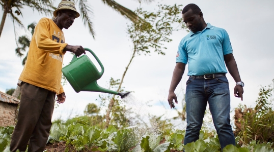 Action Against Hunger works to support farmers and to improve food insecurity in Haiti.