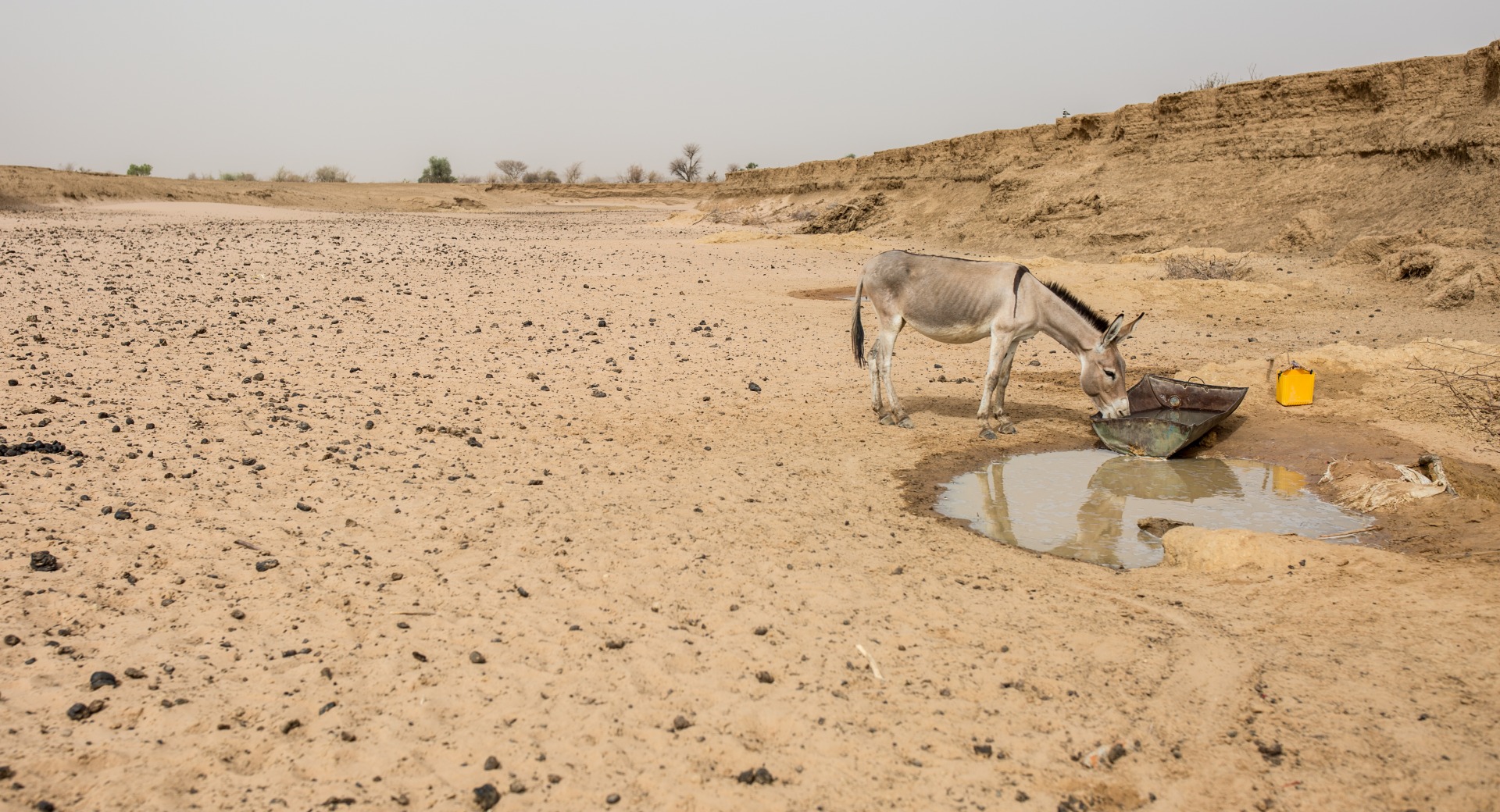 Climate change makes life challenging for herders as water and grazing land becomes harder to find.