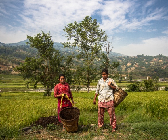 Two people stand in their field.