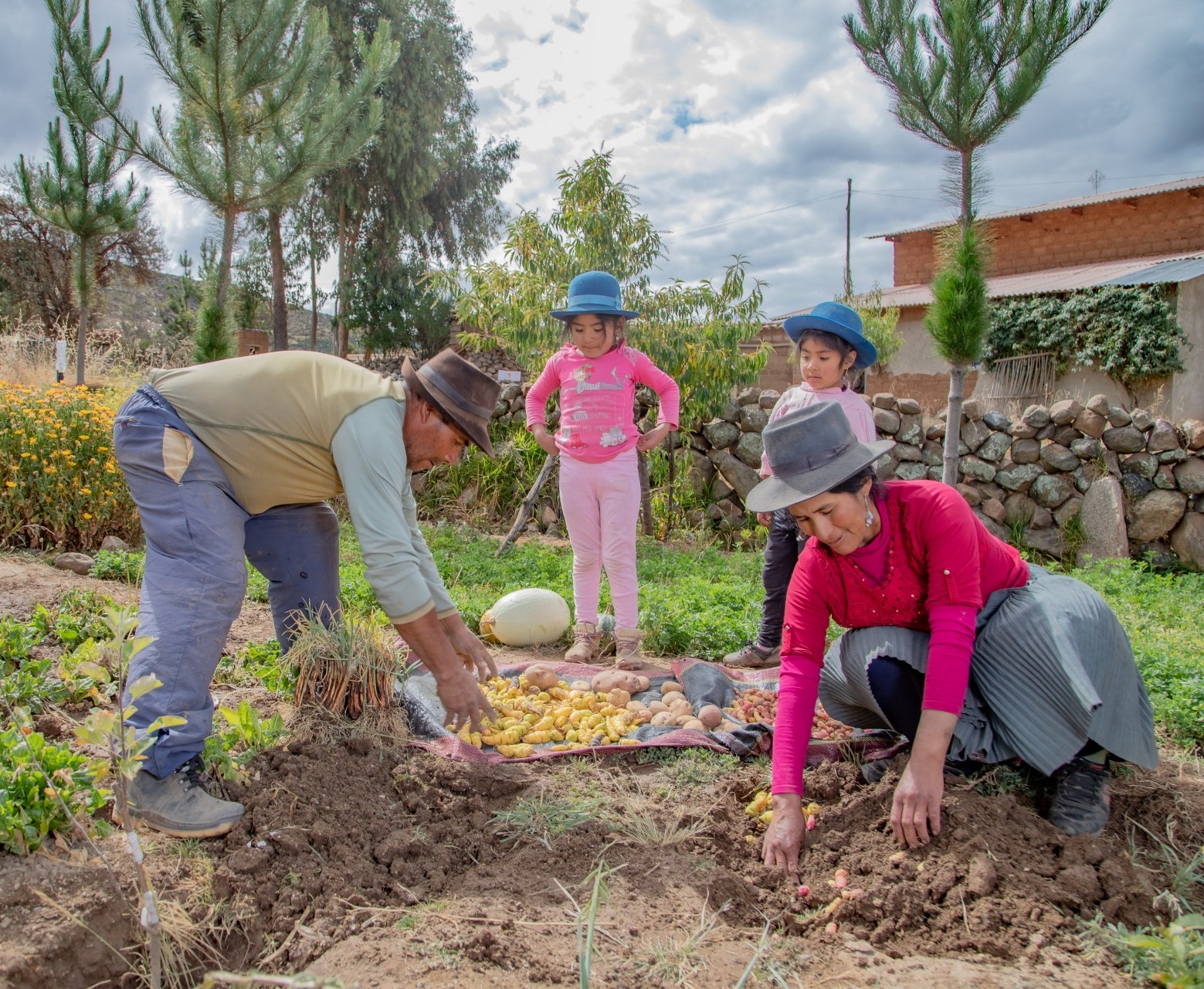 A family harvests crops from their garden.