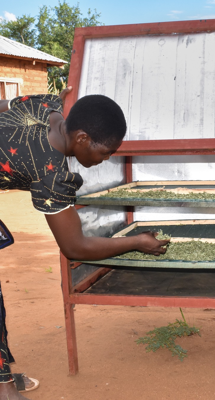 Anceran preserves her crops using solar driers.