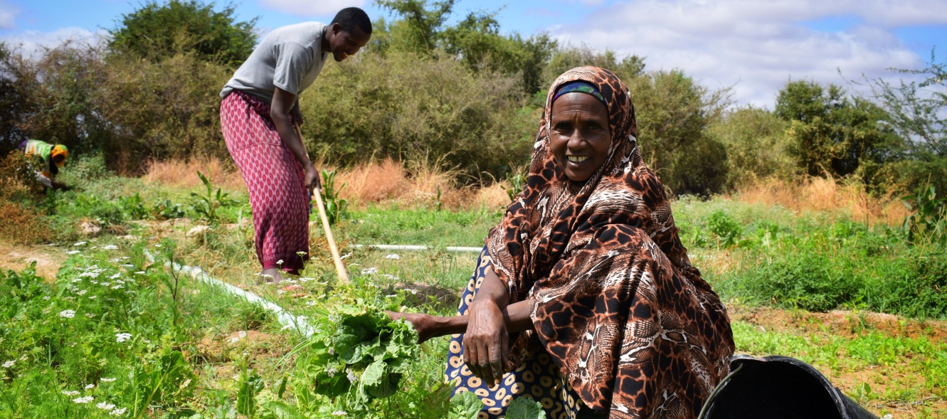 In Hudur, Southwest Somalia, Luley works in her garden - she keeps some of the produce she grows for her family and sells the rest for additional income.