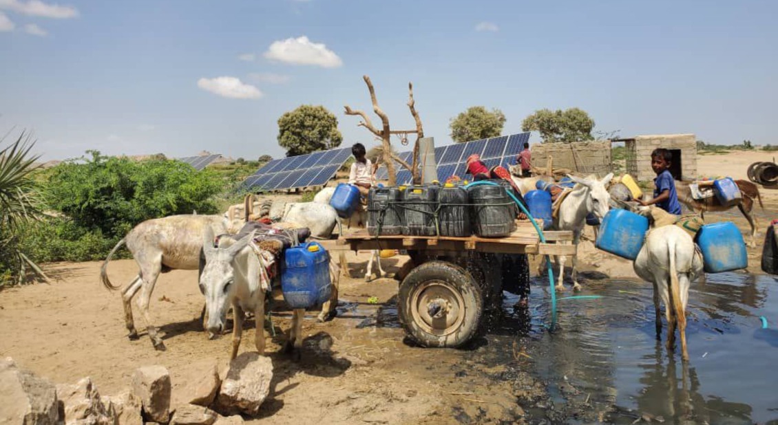 People collecting water with donkeys in Yemen.