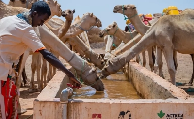 A nomadic young man in Somalia reduces water speed from the pipe into the trough while his camels drink.